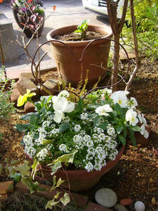 f5075506.jpg