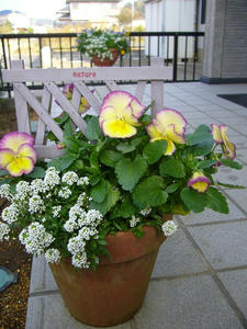 8e672446.jpg