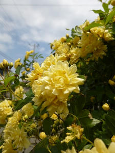 P1010078.JPG
