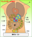 体内メーカー大きい胸