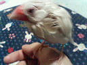 200703221503000.jpg