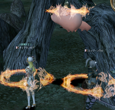 2008052003.png
