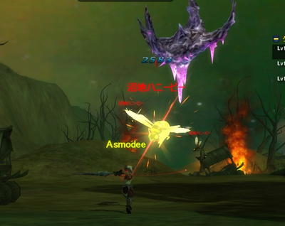 042.png