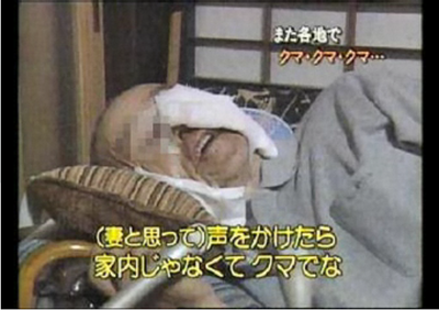 kuma.png