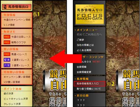 馬券フォーカスの情報の見方