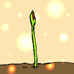 log6.png