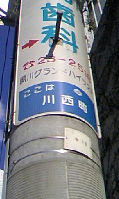20081106-002.jpg