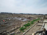 230503.jpg