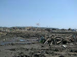 230514-1.jpg