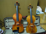 DSCN0039.JPG