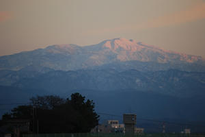 DSC_0339.jpg