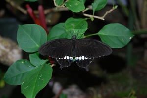 DSC_0291.jpg