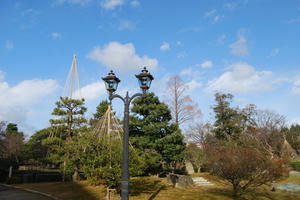 DSC_0576.jpg