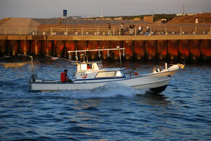 DSC_0633.jpg