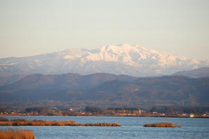 DSC_0713.jpg