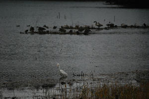DSC_0740.jpg