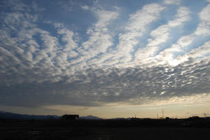DSC_0762.jpg