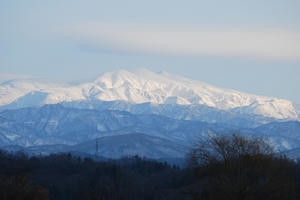DSC_0769.jpg
