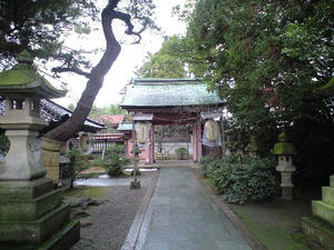 CA390311.JPG