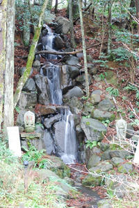 DSC_0835.jpg
