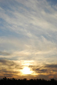 DSC_0926.jpg