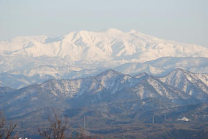 DSC_0994.jpg