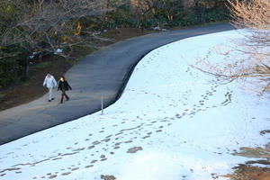 DSC_1006.jpg