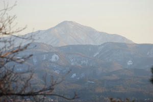 DSC_1009.jpg