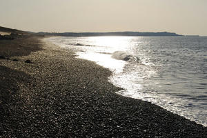 DSC_0981.jpg