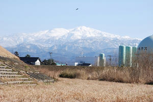 DSC_1075.jpg