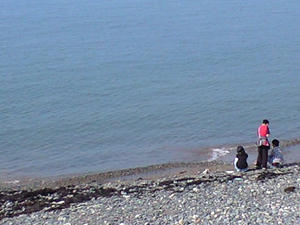 CA390359.JPG