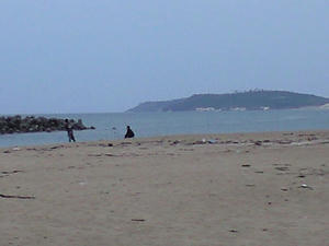 CA390366.JPG