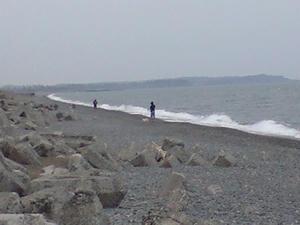 CA390368.JPG