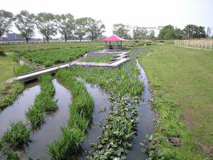 CA390369.JPG