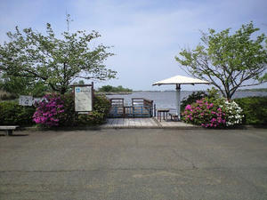 CA390370.JPG