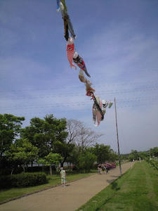 CA390371.JPG
