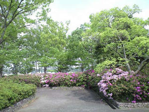 CA390372.JPG