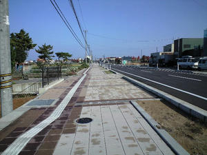 CA390547.JPG
