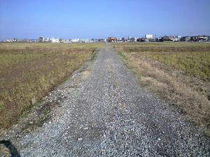 CA390553.JPG
