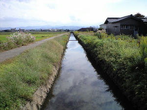 CA390538001.JPG