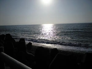 CA390578.JPG