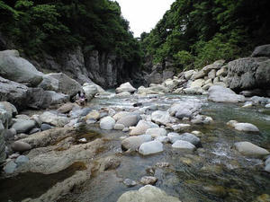 CA390587.JPG