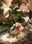 m006.jpg