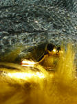 1ed7d899.jpg