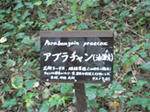 blog10.jpg