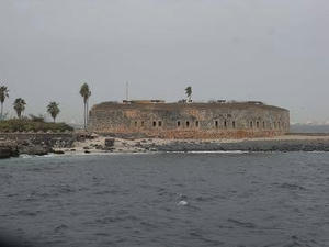 wsf02009_goree01.jpg