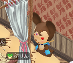 486309bf.png