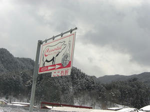 CIMG2874.jpg