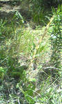 6c2f5d6a.jpg