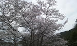 DSC_0113.JPG